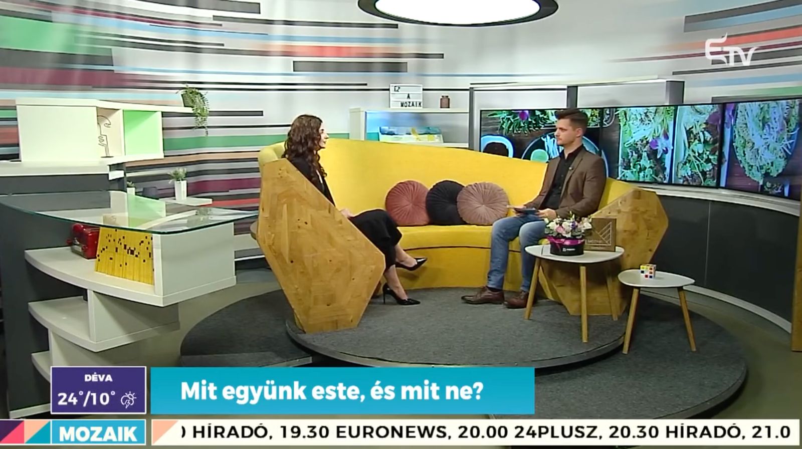 Apariție Erdély TV